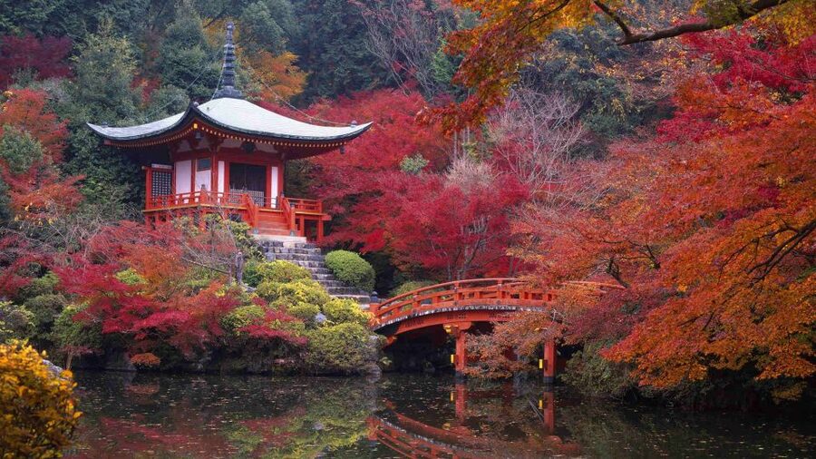 Kyoto: Japanese Gardens Private Customizable Tour - What the guide adds to the day