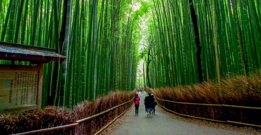 Kyoto: Japanese Gardens Private Customizable Tour - Arashiyama Bamboo Forest and the western side