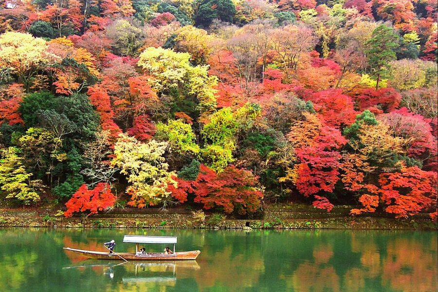 Kyoto: Japanese Gardens Private Customizable Tour - Nanzenji and Tofukuji for variety