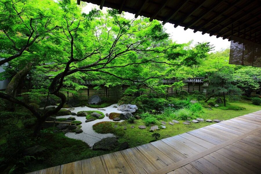 Kyoto: Japanese Gardens Private Customizable Tour - Imperial gardens and the Botanical Garden