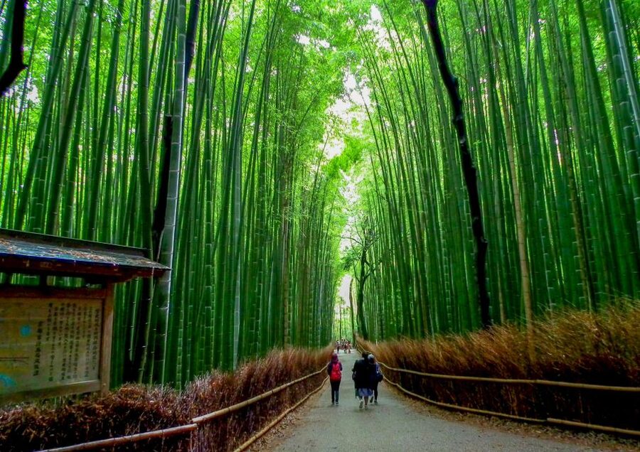 Kyoto: Japanese Gardens Private Customizable Tour - Picking the right six-hour route