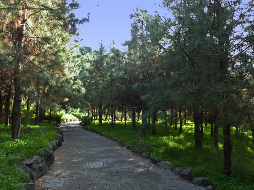 Las Palmas: Botanic Garden Tour (Bandama Caldera Option) - Key points to know before booking