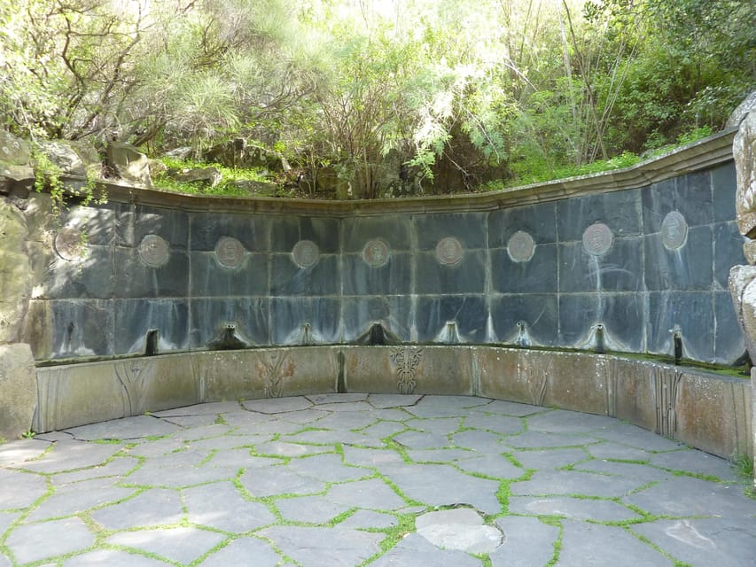 Las Palmas: Botanic Garden Tour (Bandama Caldera Option) - Canary pines, ravines, and volcanic ground