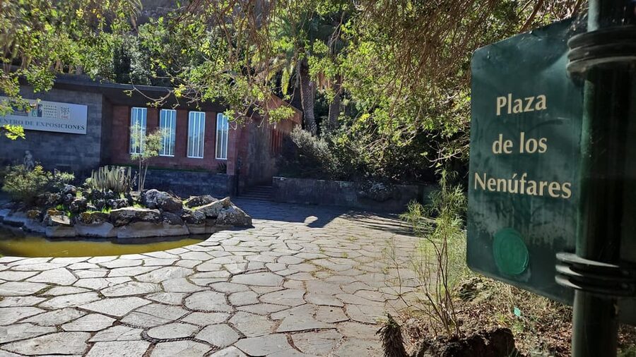 Las Palmas: Botanic Garden Tour (Bandama Caldera Option) - Is $39 good value?