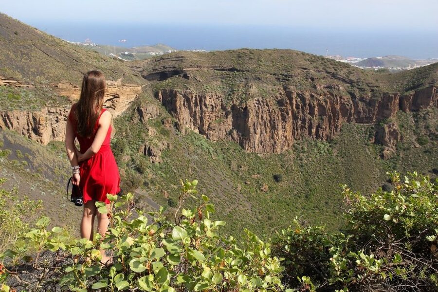 Las Palmas, Botanical Gardens and Bandama Volcano Tour - Bandama Crater from the viewpoint