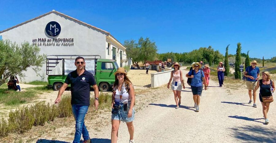 Lavender Field & Distillery Tour between Nimes & Arles - Key points at a glance