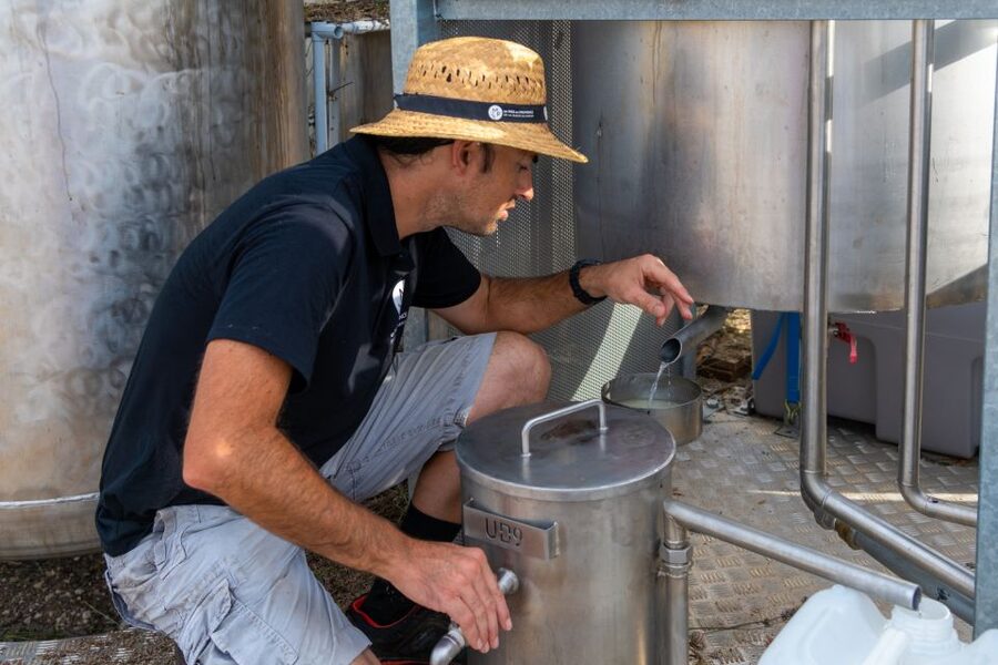 Lavender Field & Distillery Tour between Nimes & Arles - Should you book the lavender distillery tour?
