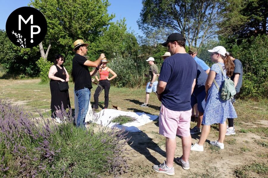 Lavender Field & Distillery Tour between Nimes & Arles - Around the still, flowers become oil