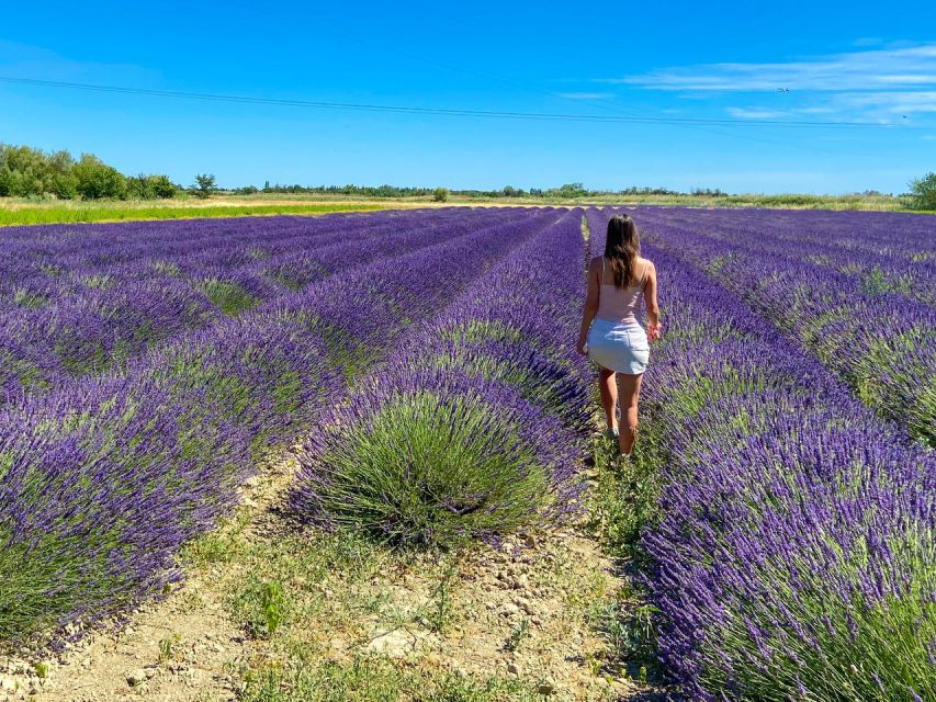 Lavender Field & Distillery Tour between Nimes & Arles - Guides who make a short tour work