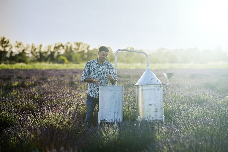 Lavender Field & Distillery Tour between Nimes & Arles - Is $9 good value?