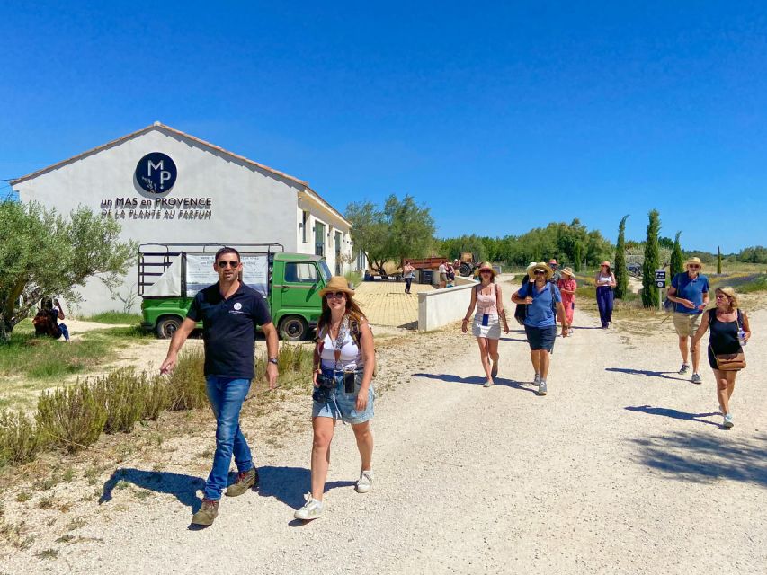Lavender Field & Distillery Tour between Nimes & Arles - Touch and smell the plants in the field