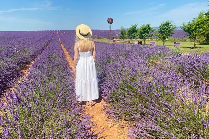 Lavender in Luberon Small Group Half-Day Trip - Gordes is a viewpoint, not a village visit