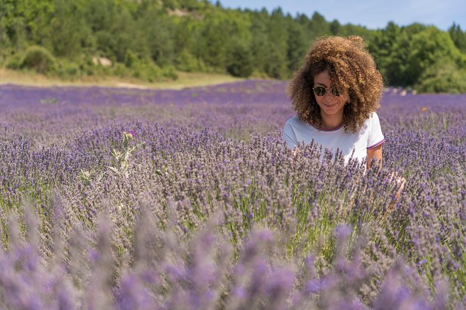 Lavender Small-Group Tour In Valensole from Marseille - Why the Valensole Plateau is worth the long ride