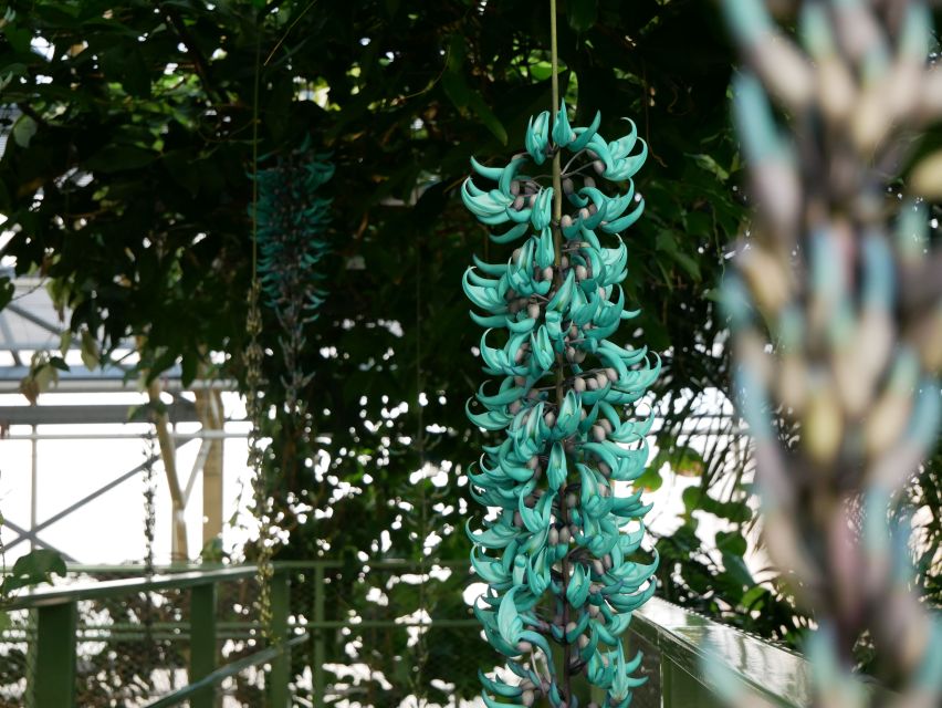 Leiden: Hortus botanicus Leiden Entry Ticket - Why Hortus botanicus Leiden is worth your time