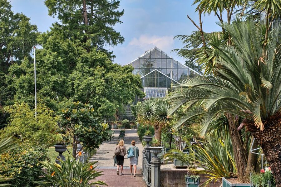 Leiden: Hortus botanicus Leiden Entry Ticket - The old trees and outdoor walking route