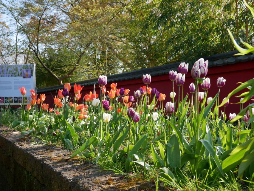 Leiden: Hortus botanicus Leiden Entry Ticket - Price, comfort, and practical value