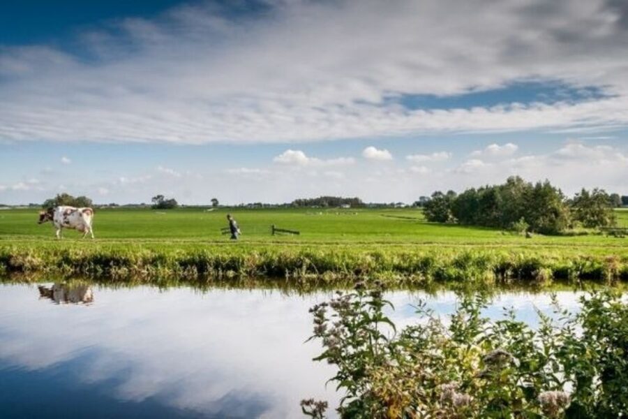 Leiden: Windmill and Countryside Cruise near Keukenhof - What you see during the one-hour boat ride