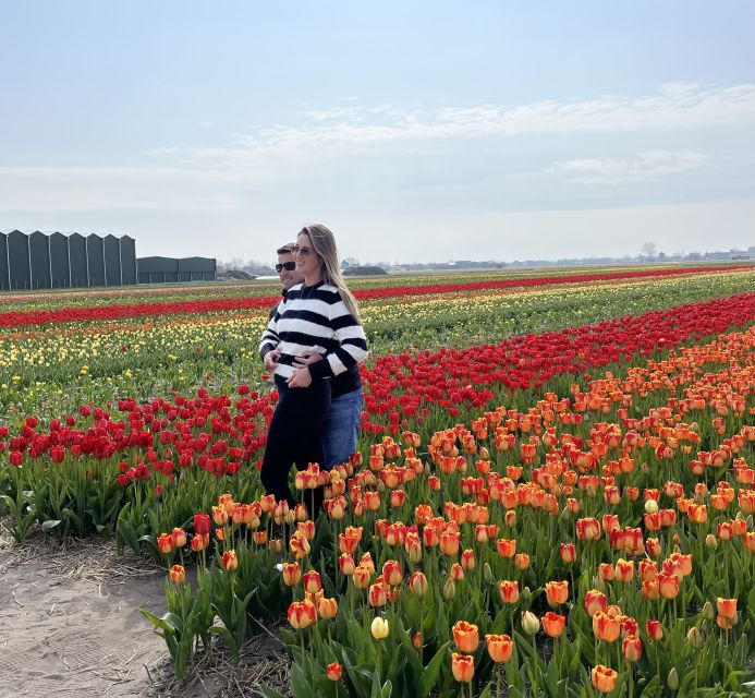 Lisse: Enjoy the Tulip Fields by Bike with a Local Guide! - How active is the 2.5-hour tour?
