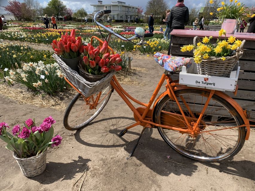 Lisse: Enjoy the Tulip Fields by Bike with a Local Guide! - What the $58 price includes