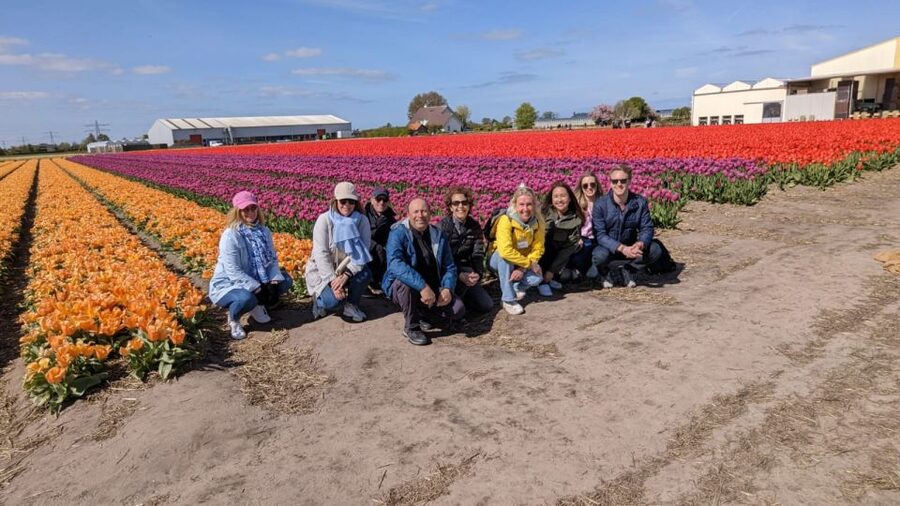 Lisse: Enjoy the Tulip Fields by Bike with a Local Guide! - Starting at Restaurant Hanami in Lisse
