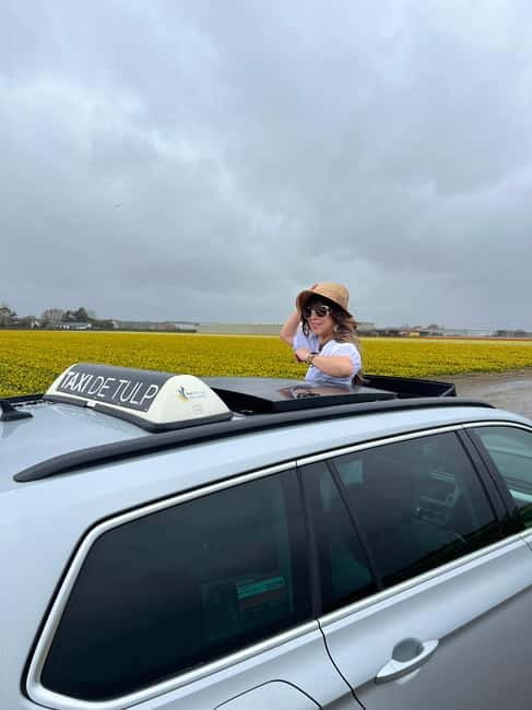 Lisse: Private Tulip Fields Tour with a Local Guide 1h Tour - Key points at a glance
