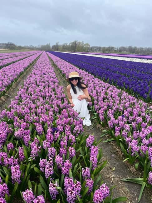 Lisse: Private Tulip Fields Tour with a Local Guide 1h Tour - A private way to see the tulip fields