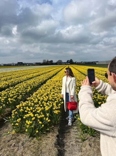 Lisse: Private Tulip Fields Tour with a Local Guide 1h Tour - Spring color, scent, and weather