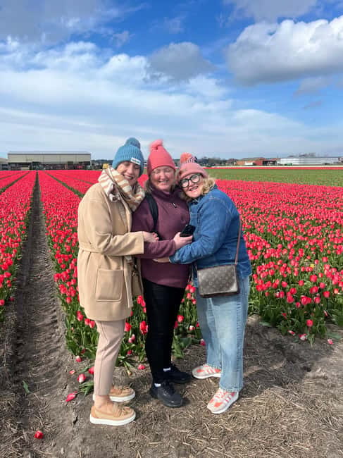 Lisse: Private Tulip Fields Tour with a Local Guide 1h Tour - Is $182 good value?