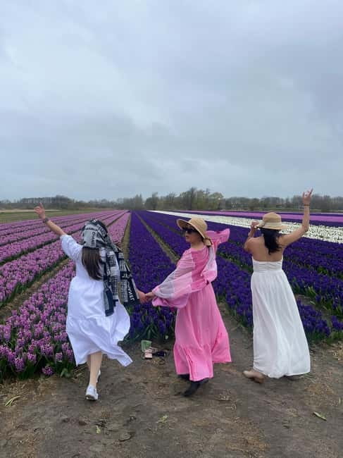 Lisse: Private Tulip Fields Tour with a Local Guide 1h Tour - What happens from pickup to the fields