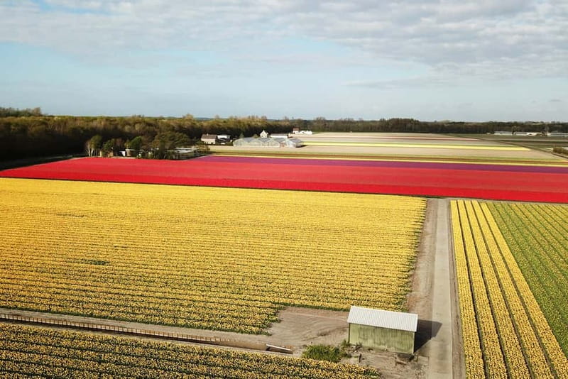 Lisse: Self-Guided Tulip Fields GPS Audio Tour - Key points at a glance
