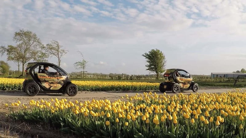 Lisse: Self-Guided Tulip Fields GPS Audio Tour - Following the 20-kilometer flower route