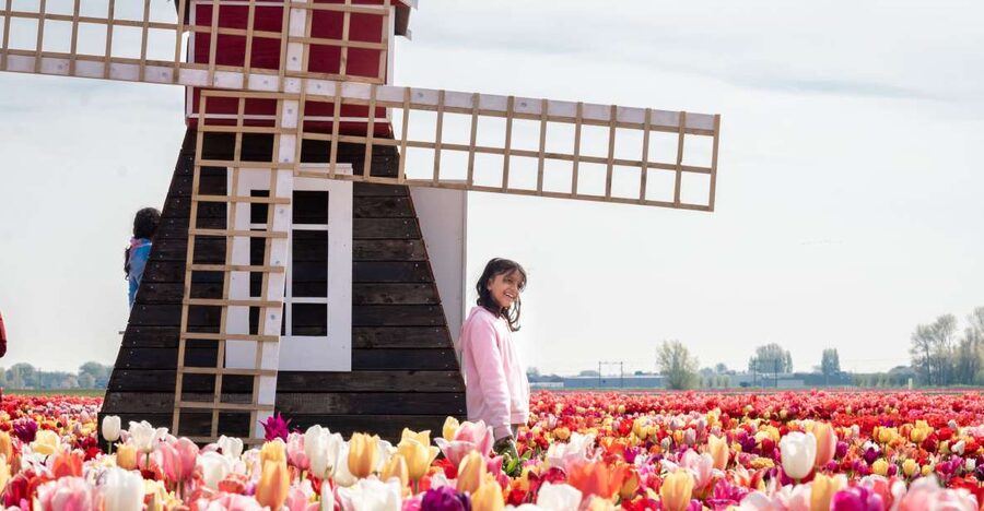 Lisse: Tulip Experience Ticket with Tulip Garden and Museum - A flower farm visit with more to do than take pictures