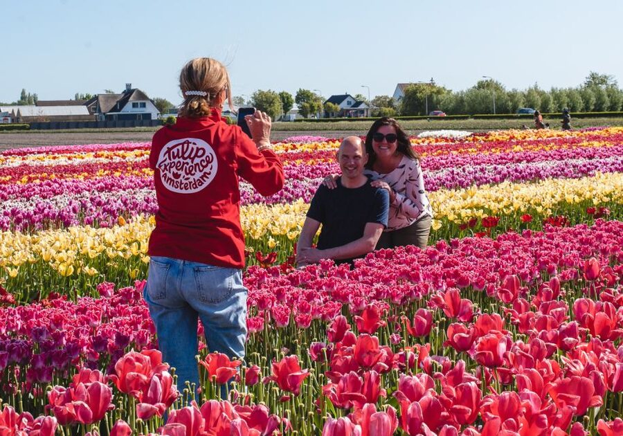 Lisse: Tulip Experience Ticket with Tulip Garden and Museum - Walking through 4 million tulips