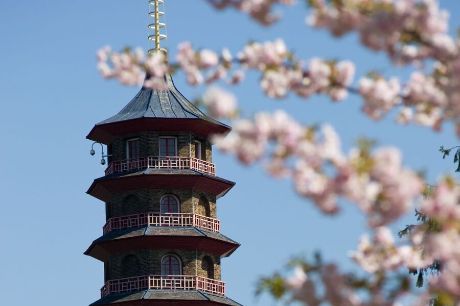 London: Kew Gardens Admission Ticket - Why Kew works so well as a London day out