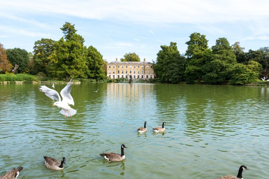 London: Kew Gardens Admission Ticket - The Arboretum and Kew’s older trees