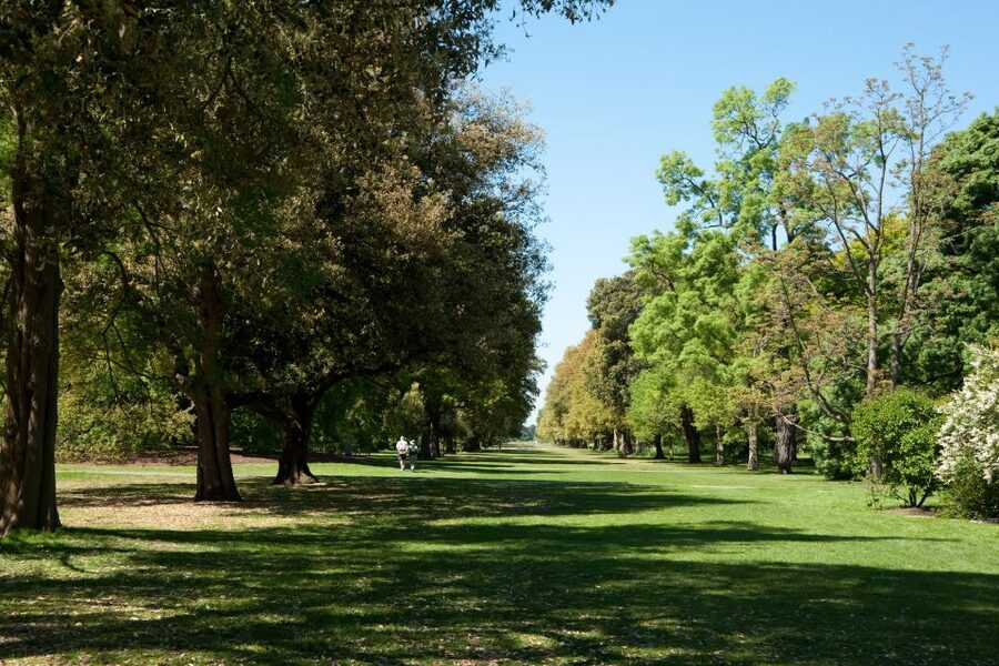 London: Kew Gardens Admission Ticket - Art galleries and outdoor installations