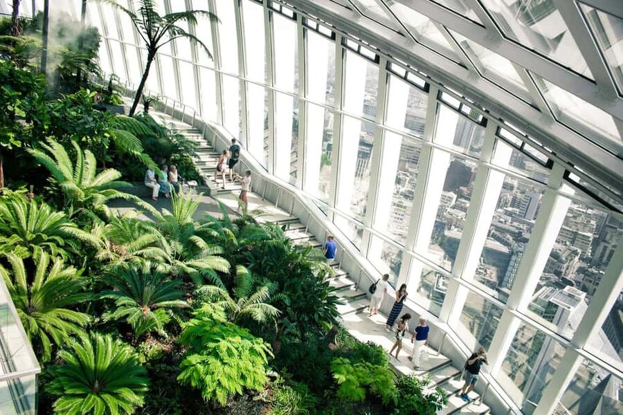 London: Sky Garden Early Access with Pastry and Hot Drink - A quieter hour before the city fills up