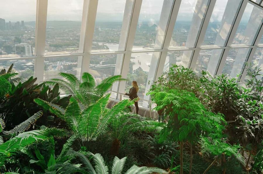 London: Sky Garden Early Access with Pastry and Hot Drink - Practical details that make the visit easier