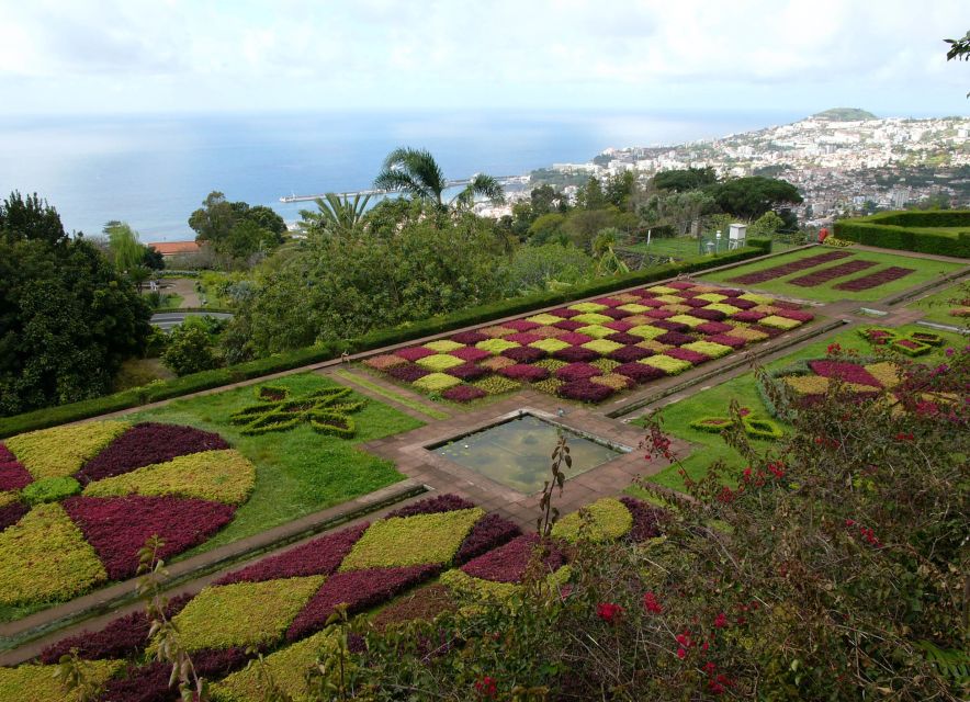 Madeira: Botanical Garden in a Tuk-Tuk Tour - One hour inside the Botanical Garden