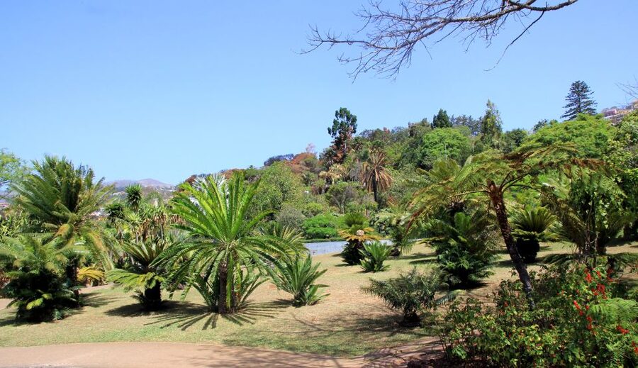 Madeira: Botanical Garden in a Tuk-Tuk Tour - What the $47 price really covers