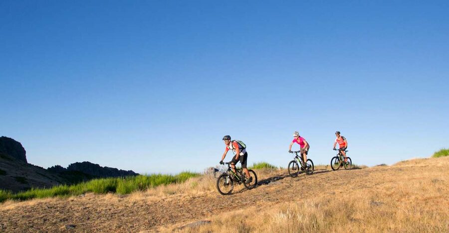 Madeira Botanical Levels Bike Tour – Scenic Trail Experience - Pick between forest paths and technical single-track