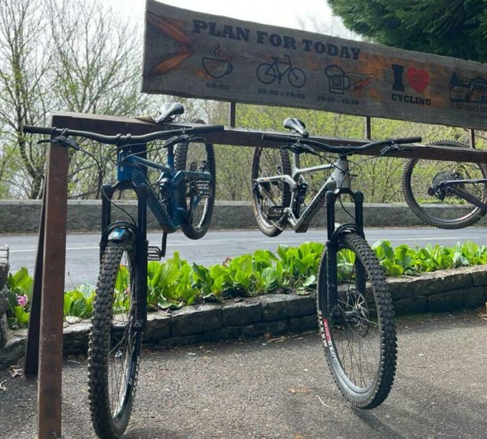 Madeira Botanical Levels Bike Tour – Scenic Trail Experience - The bikes and safety gear are a real part of the value