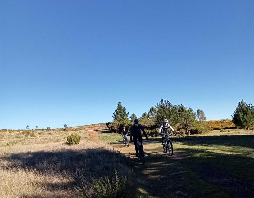 Madeira Botanical Levels Bike Tour – Scenic Trail Experience - Who will enjoy this ride most