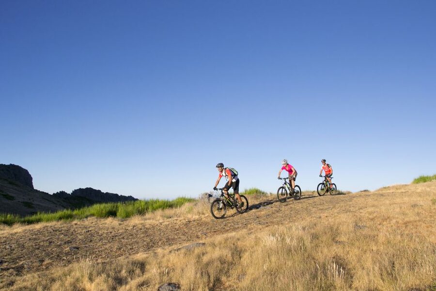 Madeira Botanical Levels Bike Tour – Scenic Trail Experience - The levada section is the calm center of the tour