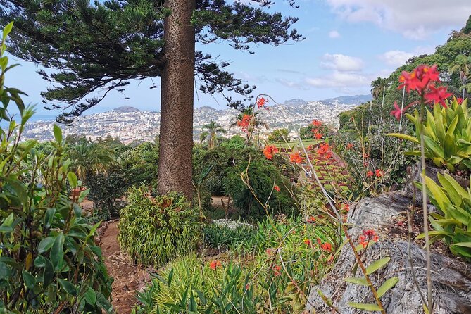 Madeira Highlights: Toboggan, Garden & Cable Car (All-Inclusive) - The Monte toboggan ride