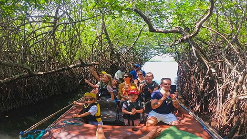 Madu River Boat Tour and Cinnamon Garden visit - A quiet start on the Madu River