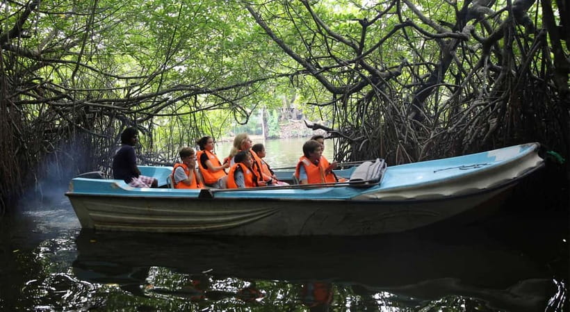 Madu River Boat Tour and Cinnamon Garden visit - Mangrove tunnels, sunlight, and river wildlife
