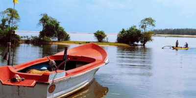 Madu River Boat Tour and Cinnamon Garden visit