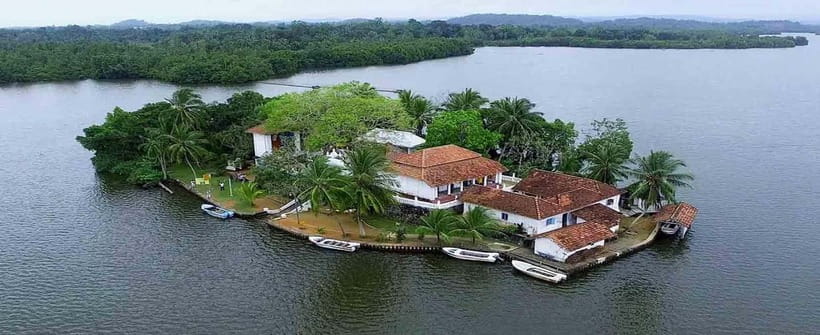 Madu River Boat Tour and Cinnamon Garden visit - Fish massage and other optional stops