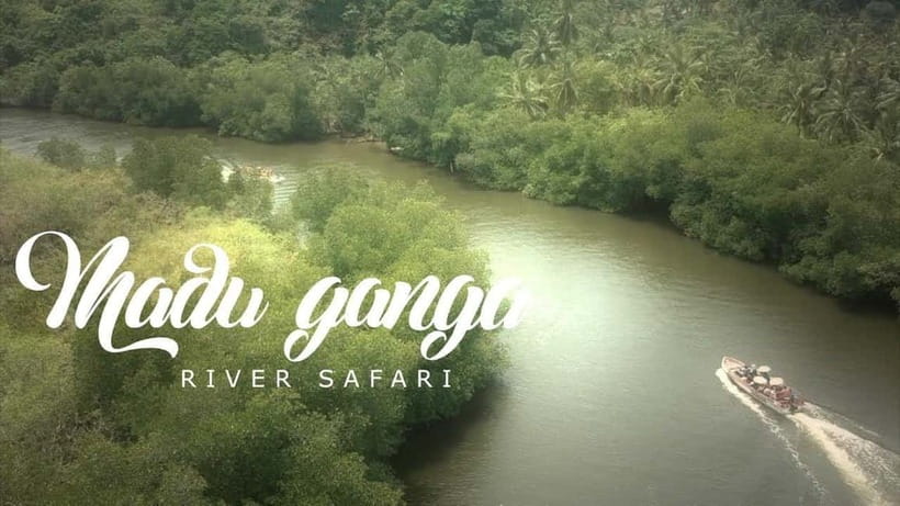Madu River Boat Tour and Cinnamon Garden visit - Who will enjoy this boat ride?